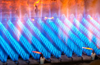 Lower Haysden gas fired boilers